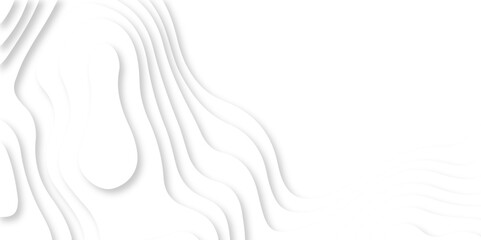 	
Luxury abstract lines Modern white carve wave line abstract luxury 3d papercut background. vector minimal topography map light element shadow landscape wave element curve graphic papercut design.