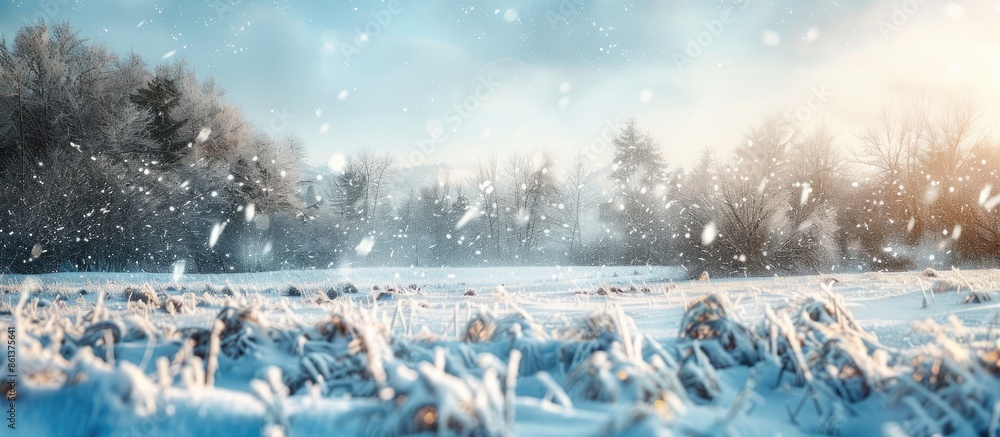 Aufkleber winter scene with snowfall creating a picturesque copy space image.