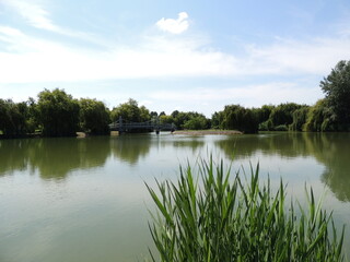 Fototapeta premium Landscape overlooking the lake