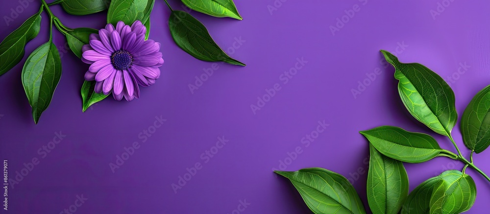 Poster a gorgeous violet flower with green leaves on a background designed for copy space image.