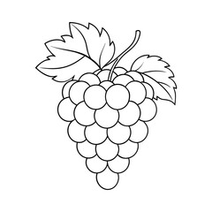 Grape line art illustration. Grape with leaves outline illustration. Healthy vegan food concept