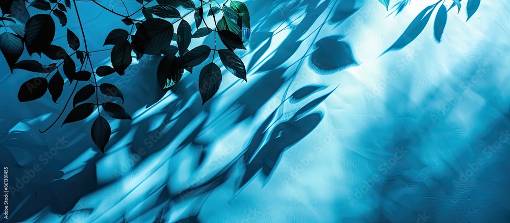 Poster silhouette of leaves and flowers projected on a blue backdrop with copy space image.