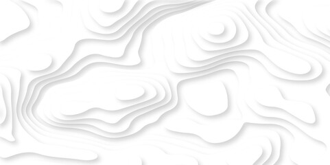 Luxury abstract lines Modern white carve wave line abstract 3d papercut background. vector minimal topography map light element shadow landscape wave element curve graphic papercut design.
