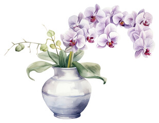 PNG Flower orchid plant vase.