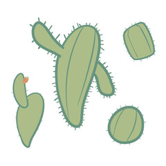 cactus illustration