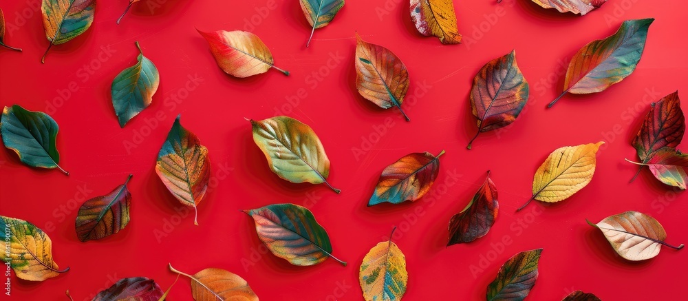 Poster Top view flat lay of colorful autumn leaves on a red background, creating an autumn-themed pattern with copy space image available.