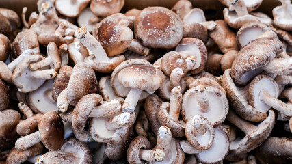Close up of fresh shiitake mushrooms at a farmers market stall