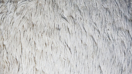 A soft, abstract, luxurious fur fabric texture background. Ideal for cozy, upscale interior designs, product photography, or fashion-related projects. Adds warmth and texture to any scene