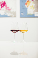 Educational Wine Tasting Session Featuring Red and White Wine Glasses Against Wine Map Backdrop