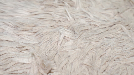 A soft, abstract, luxurious fur fabric texture background. Ideal for cozy, upscale interior designs, product photography, or fashion-related projects. Adds warmth and texture to any scene