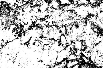 Fototapeta premium Texture overlay creat grunge effect. Black and white abstract background.