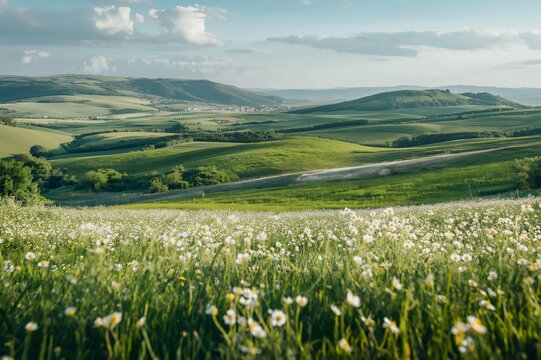 Idyllic landscape showing a field of white wildflowers with green rolling hills stretching to the horizon under a blue sky with white clouds