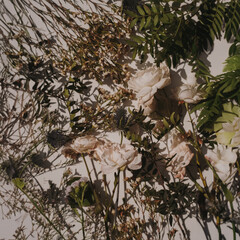 Stunning Close-Up of White Roses Bouquet and Wildflowers on Soft White Background with Gentle Shadows. Weddings, Celebrations, and Romantic Events Floral Background
