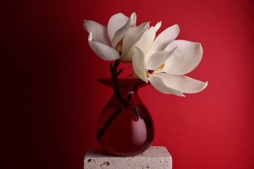 Fiori profumati di magnolia. Still life con fiori recisi in vaso rosso, su fondo rosso 