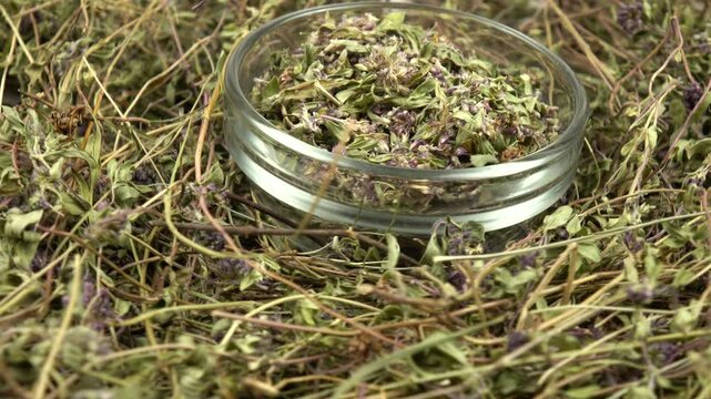 Glass jar with peeled thyme, stand on the heap of collected and dried thyme, culinary herb, background