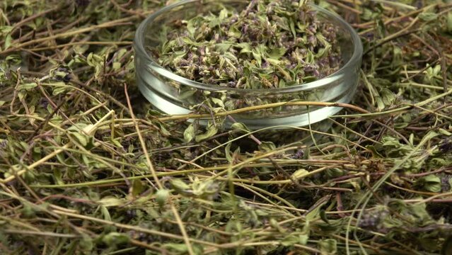 Glass jar with peeled thyme, stand on the heap of collected and dried thyme, culinary herb, background