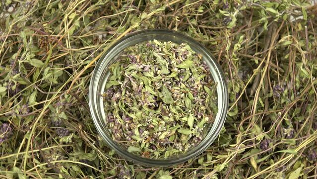 Glass jar with peeled thyme, stand on the heap of collected and dried thyme, culinary herb, background