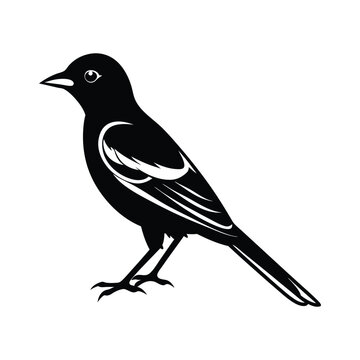 recommend clip art: Oriole Bird Silhouette Vector Illustration
