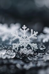 A delicate snowflake, intricate and beautiful, rests on a bed of ice.