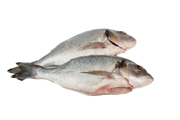 Two dorado fish ready to cook on white background.