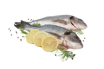 Two dorado fish with lemon, pepper and dill on a white background.