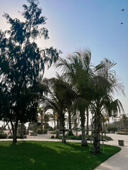 Obraz premium Beautiful atmospheric beach Beach with palm trees La Mer in Dubai, 2024