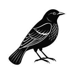 Red-Winged Blackbird Silhouette Vector Illustration