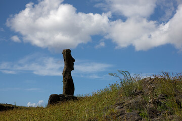 Fototapeta premium Easter Island Moai on a sunny autumn day view on a sunny spring day
