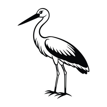 black and white stork standing clip art preview