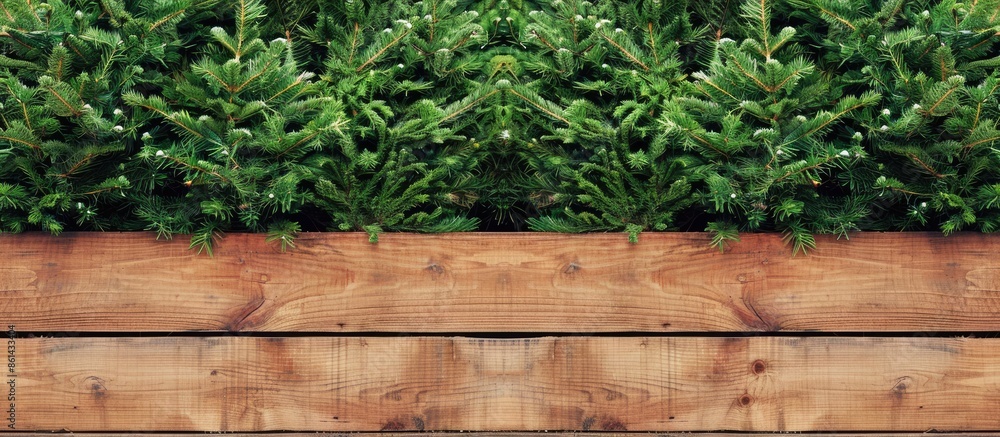 Poster background with green firs behind a wooden house wall with space for copy images included.