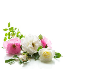 wooden light background with white and pink roses