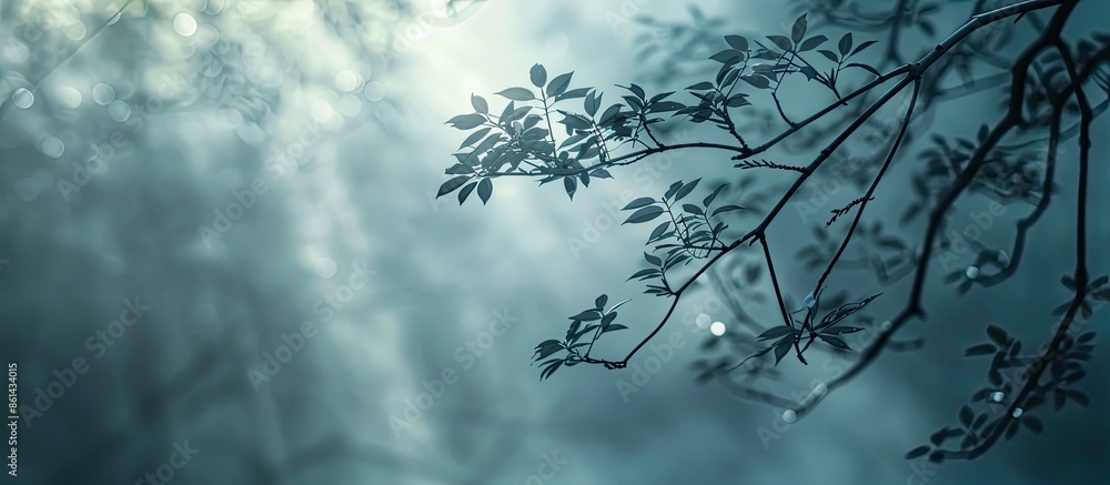 Aufkleber An abstract design element with a blurred tree branch shape overlaying an organic plant shadow with a copy space image.