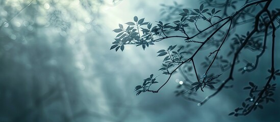 An abstract design element with a blurred tree branch shape overlaying an organic plant shadow with a copy space image.