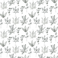 Watercolor seamless pattern with herbs. Pencil graphic.