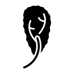 Swiss chard glyph icon