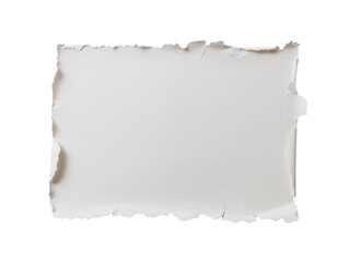Ripped paper, isolated, PNG.
