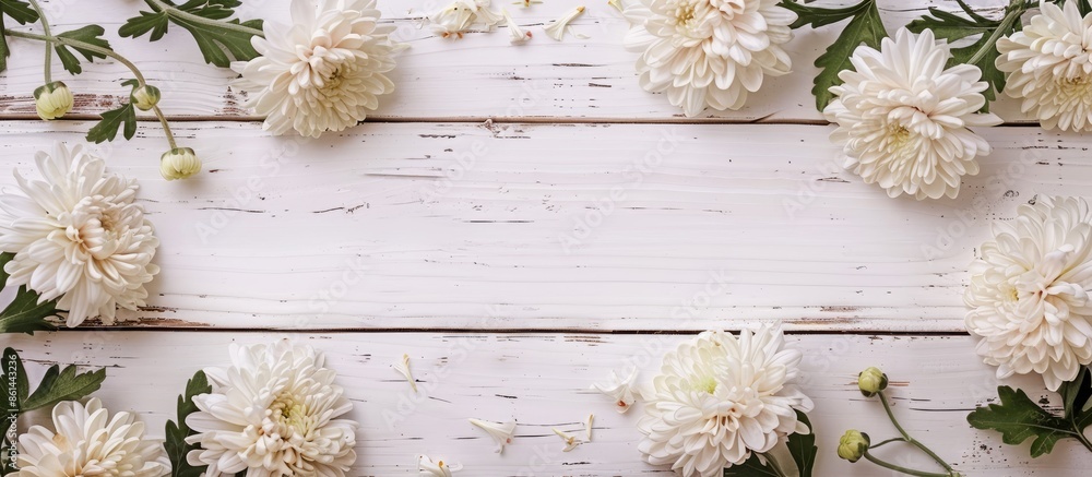 Poster chrysanthemum flowers form an elegant frame on a white wooden backdrop, ideal for a copy space image