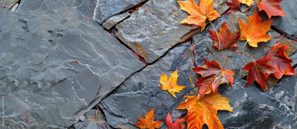 Poster autumn foliage atop a stone surface with copy space image.