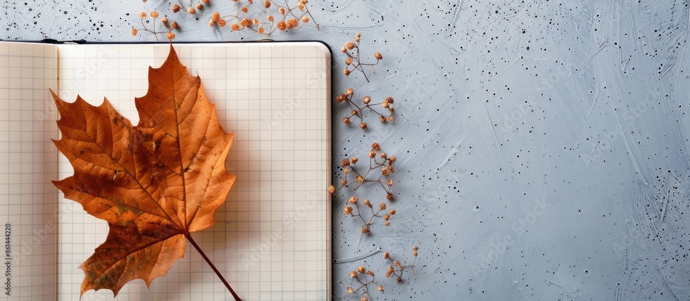 Poster An autumnal leaf and a dried plant arranged on an open notebook with copy space image.