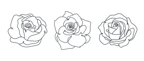 Rose flower set. Continuous drawing. Line art concept design. Hand-drawn vector illustration.
