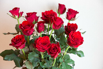 Naklejka premium 赤い薔薇