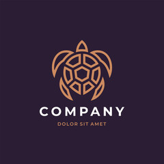 Turtle logo design. Modern icon. Sea turtle illustration.
