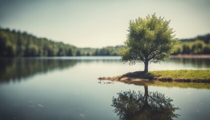 Perfect spring scene and morning meadow near the river with alone tree on the shore. Location place river Seret. Photo wallpaper. Environmental concept. Discover the beauty of earth, tree on the lake