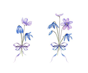 Set of bouquet of the light blue scillas - first spring flowers with bow. Watercolor botanical illustration of lilac coppice flowers. Hand drawn isolated on background.