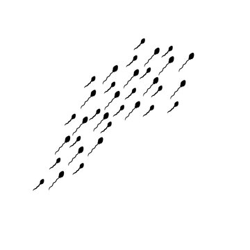 recommend clip art: Sperm Cells Vector