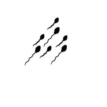 recommend clip art: Sperm Cells Vector