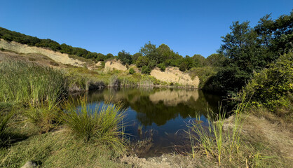 A small forest lake. Natural spring pool