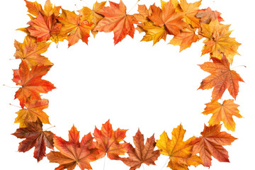 Fototapeta premium rectengular autumnal leaves frame isolated