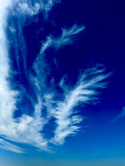 blue sky with clouds