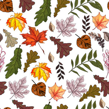 Autumn pattern. The leaves are multi-colored. The fall Seamless pattern. Colorful seamless pattern of autumn, fall howthorn leaves, hand made ink print